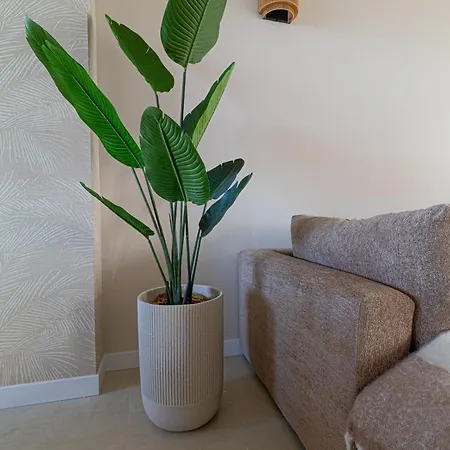 Casa Buena Vista * Egmond aan Zee