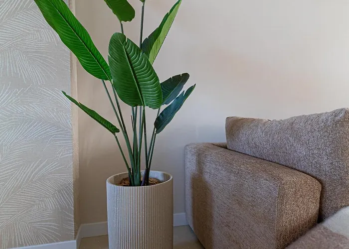 Casa Buena Vista * Egmond aan Zee